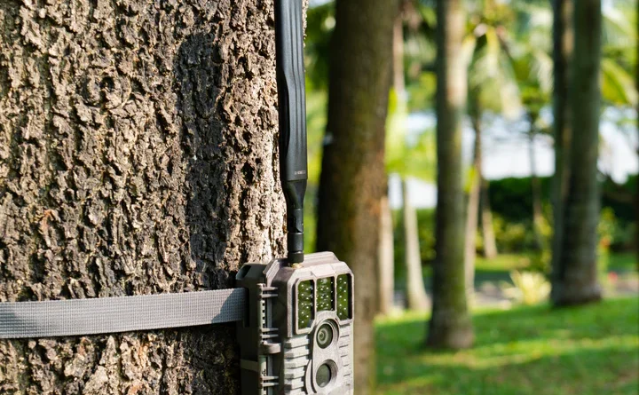 Finding the Best Deals on Trail Cameras