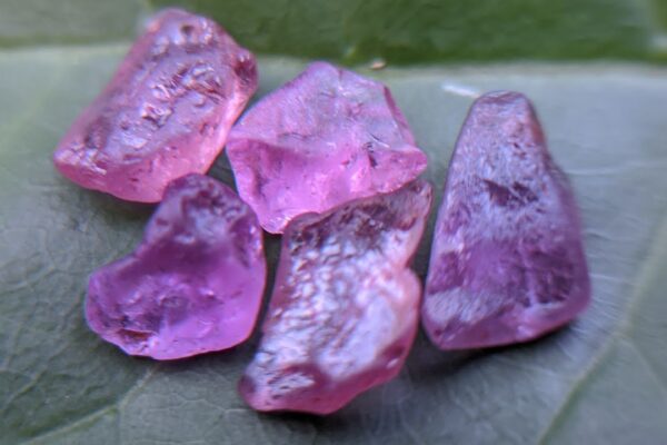 Pink Sapphire vs. Other Gemstones: What Sets It Apart?