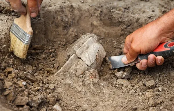 Why Power Digging Tools Are a Gardener’s Secret Weapon